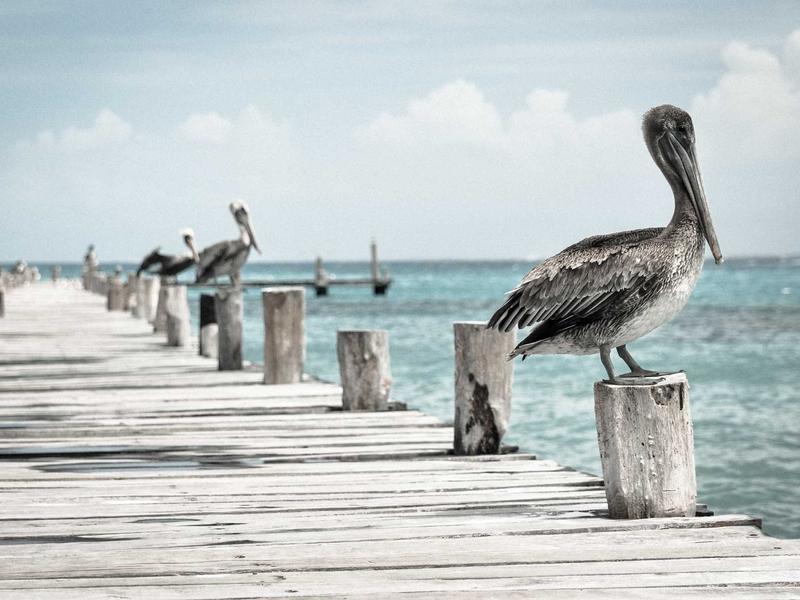 日本胶囊旅馆<br>ljvwvuu.cn 空间折叠术